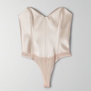 ISO Aritzia Ten By Babaton Blaze Bodysuit